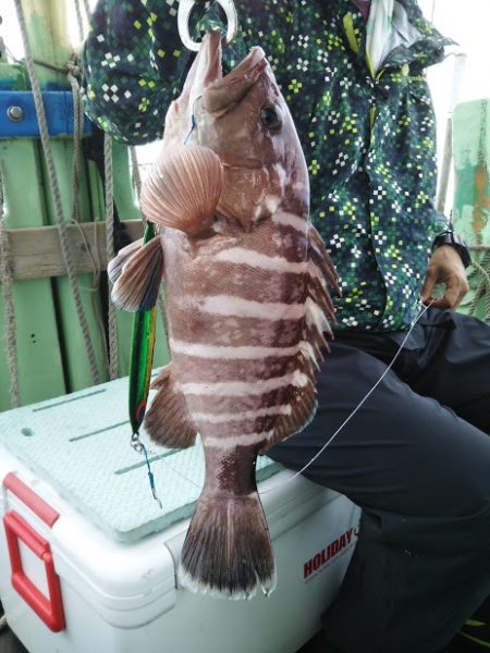 ジギング釣り果